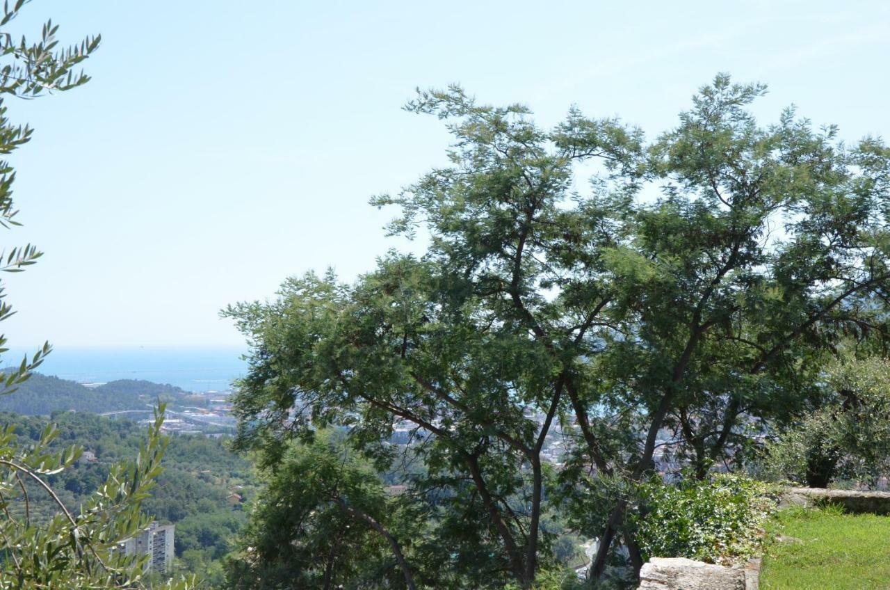 ヴェッツァーノ・リーグレLa Casa Con Vista Di Emmaアパートメント エクステリア 写真